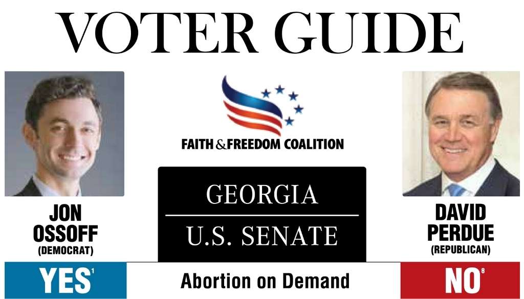 voter guide senate runoff
